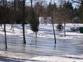 Trees surrouned by frozen water and ice in the park in early spring Royalty Free Stock Photo