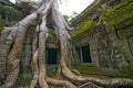 Ta Prohm Temple Siem ReapCambodia