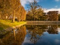 Trees and their reflection in the pond at the Oliwa Park. Royalty Free Stock Photo