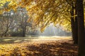 Trees in Tiergarten in Berlin Royalty Free Stock Photo