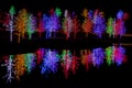 Trees tightly wrapped in LED lights for the Christmas holidays Royalty Free Stock Photo