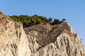 Trees in top of mountain Royalty Free Stock Photo