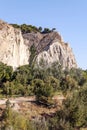 Trees in top of mountain Royalty Free Stock Photo