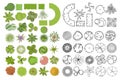 Trees top view. Different trees, plants vector set for architectural or landscape design. Set of linear and color flat  illustrati Royalty Free Stock Photo