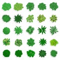 Trees top view. Green plants, bushes, shrubs and trees for landscape or architectural design. Nature green spaces vector