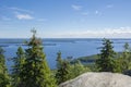 Trees on The Ukko-Koli Hill and view to Lake Pielinen on the background, Koli National Park, North Karelia, Finland Royalty Free Stock Photo