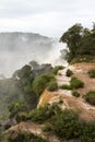 Trees at upper part of iguazu falls veiw from argentina