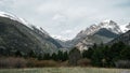 Trees on the valley with a mountain top covered with snow Royalty Free Stock Photo