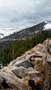 Trees on the valley with a mountain top covered with snow Royalty Free Stock Photo