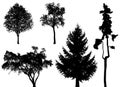 Trees - vector set Royalty Free Stock Photo