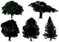 Trees - vector set Royalty Free Stock Photo