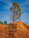 Trees and vegetation covering the red sands. Abstract Rustler canyon moher cliffs landscape. Provencal Colorado Royalty Free Stock Photo