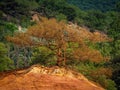 Trees and vegetation covering the red sands. Abstract Rustler canyon moher cliffs landscape. Provencal Colorado Royalty Free Stock Photo