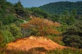 Trees and vegetation covering the red sands. Abstract Rustler canyon moher cliffs landscape. Provencal Colorado Royalty Free Stock Photo