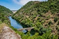 Trees and vegetation on hills in valley with river ZÃÂªzere and Filipina bridge in viewpoint with Cabril dam in the background