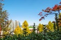 Trees and view Seoul city from in Namsan Park Royalty Free Stock Photo