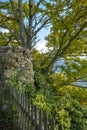 Trees at the viewpoint Gebhardsberg Royalty Free Stock Photo