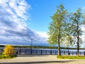 Trees in Volga river embankment. Kineshma, Russia Royalty Free Stock Photo