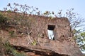 Trees on wall of a old fort, Valsad, Gujrat Royalty Free Stock Photo