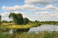 Trees, water Royalty Free Stock Photo