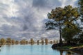 Trees in the water of the Bayous, Louisiana Royalty Free Stock Photo