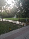 Trees and water fountain