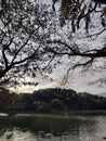 Trees water natural beauty green lake afternoon sunset Royalty Free Stock Photo