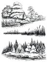 Trees and water reflection, vector illustration set. Landscape with forest, hand drawn sketch. Royalty Free Stock Photo