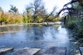 Trees at water