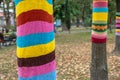 Trees wearing colorful knitted scarves in autumn park. Care about nature and environment concept Royalty Free Stock Photo