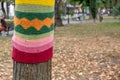 Trees wearing colorful knitted scarves in autumn park. Care about nature and environment concept Royalty Free Stock Photo