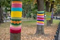 Trees wearing colorful knitted scarves in autumn park. Care about nature and environment concept Royalty Free Stock Photo