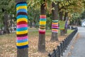 Trees wearing colorful knitted scarves in autumn park. Care about nature and environment concept Royalty Free Stock Photo