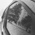 Trees wet snow reflection window