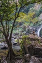Trees and Wild Monkey in Khlong Lan Waterfall at Khampang Phet Province, Thailand Royalty Free Stock Photo