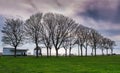 Trees in winter along the Royal Esplanade promenade in Ramsgate,