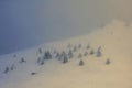 Trees in Winter in Ciucas Mountains, Romania Royalty Free Stock Photo