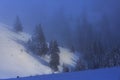 Trees in Winter in Ciucas Mountains, Romania Royalty Free Stock Photo