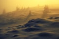 Trees in Winter in Ciucas Mountains, Romania Royalty Free Stock Photo