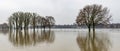 Trees at winter time standing in high water, flood of rhine river at Cologne, reflection in water Royalty Free Stock Photo