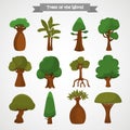 Trees of the world color icons set for web and mobile design