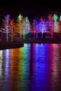 Trees wrapped in LED lights for Christmas Royalty Free Stock Photo