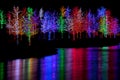 Trees wrapped in LED lights for Christmas Royalty Free Stock Photo