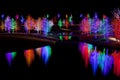 Trees wrapped in LED lights for Christmas Royalty Free Stock Photo