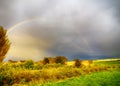 Trees, Yellow And Green Fields And Rainbow Over Them In Early Spring, Cloudy Sky, Before The Storm