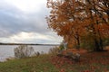 Trees with yellowed leaves on a cloudy autumn day on the banks of the river Royalty Free Stock Photo