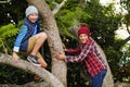 Treetop adventurers. two boys climbing a tree together. Royalty Free Stock Photo