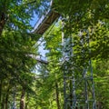 Treetop path through the mixed forest at the northern edge of the Harz, view from below to the supports and wooden planks Royalty Free Stock Photo