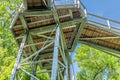 Treetop path through the mixed forest at the northern edge of the Harz, view from below to the supports and wooden planks Royalty Free Stock Photo