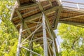 Treetop path through the mixed forest at the northern edge of the Harz, view from below to the supports and wooden planks Royalty Free Stock Photo